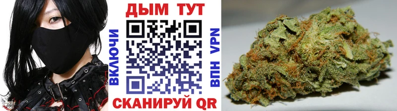 Наркота Каневская ссылка на мегу рабочий сайт  Codein  MDMA  КОКАИН  МЕФ  ГАШИШ  АМФ  A-PVP 