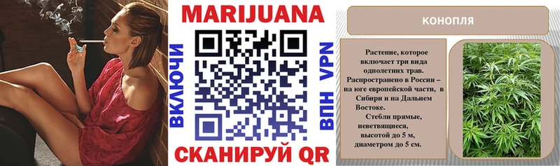 Канабис SATIVA & INDICA  продажа наркотиков  Каневская 